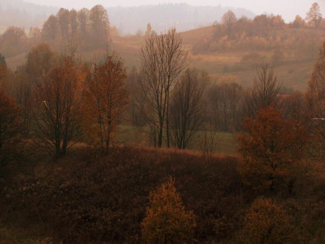 Nouvelles destinations musicales à découvrir cet automne